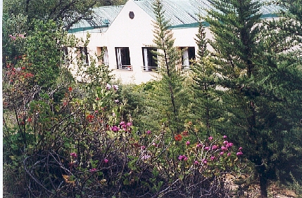 Reort Hotel del Mauco